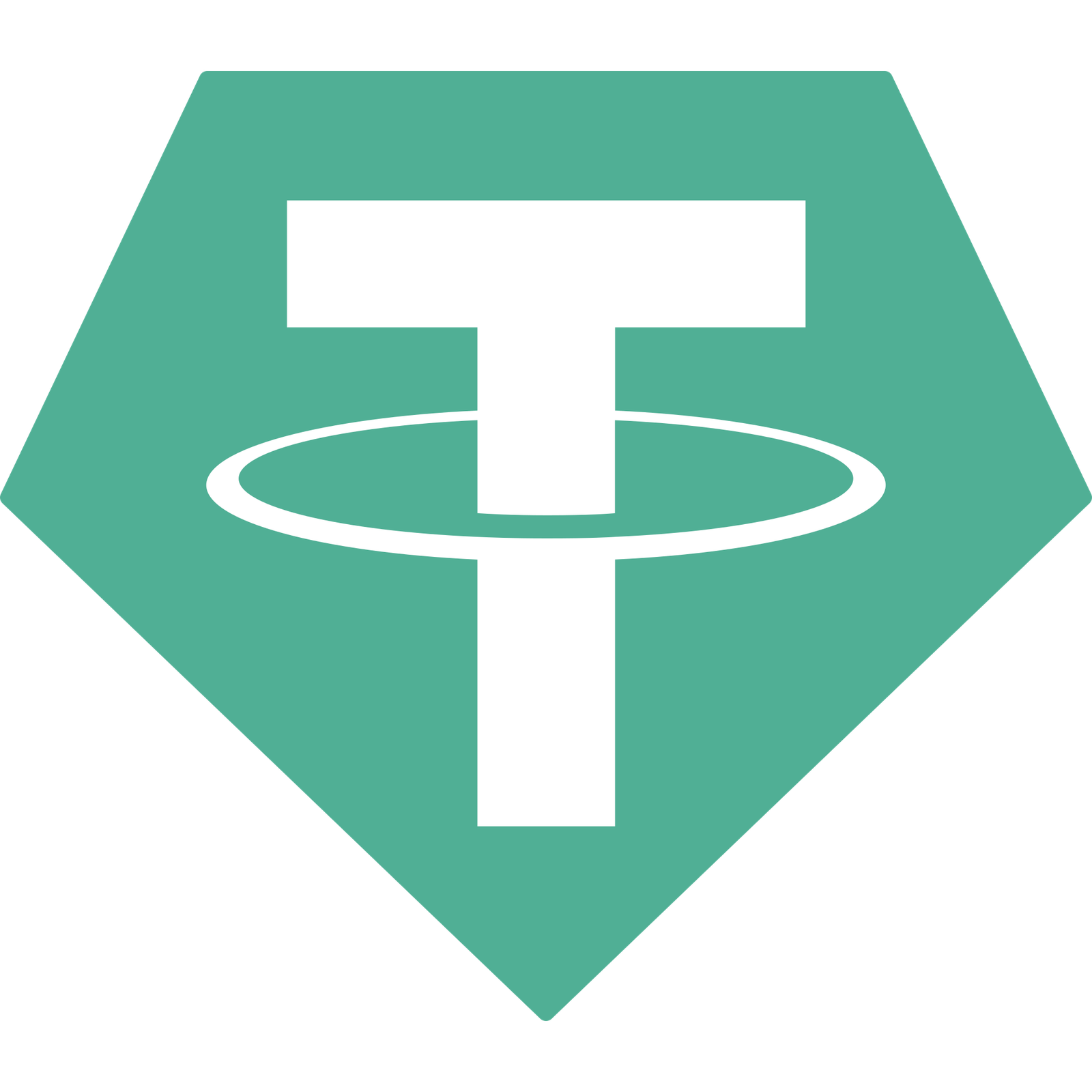 Tether USDT Payment